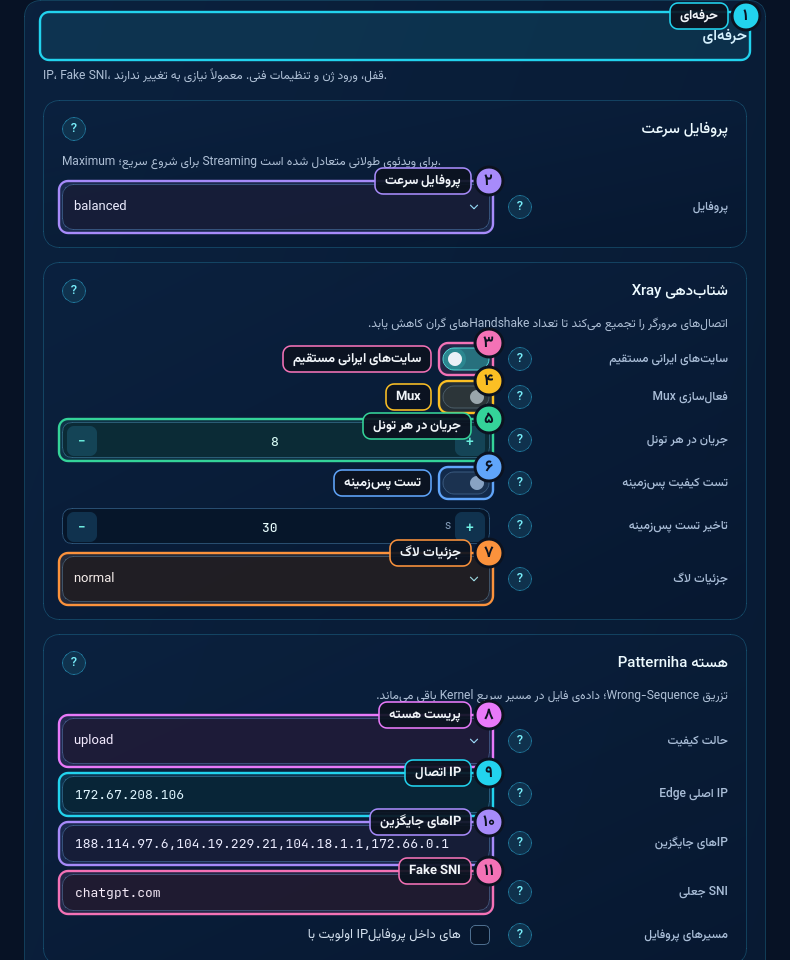 تنظیمات پیشرفته — بخش حرفهای
